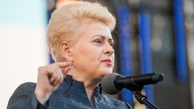 D. Grybauskaitė tiki – seniai reikėjo imtis realių veiksmų: Rusija gali būti sustabdyta tik mūšio lauke