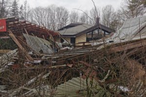 Vingio parko lankytojai nerimą kelia šis vaiduoklis: „Vaizdas apgailėtinas“