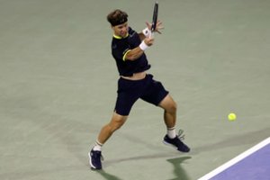 R. Berankis po atkaklios kovos nusileido 14-ajai pasaulio raketei