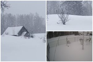 Dalyje Lietuvos vis dar laikosi pusnys: vietomis fiksuojama net 25 cm sniego danga