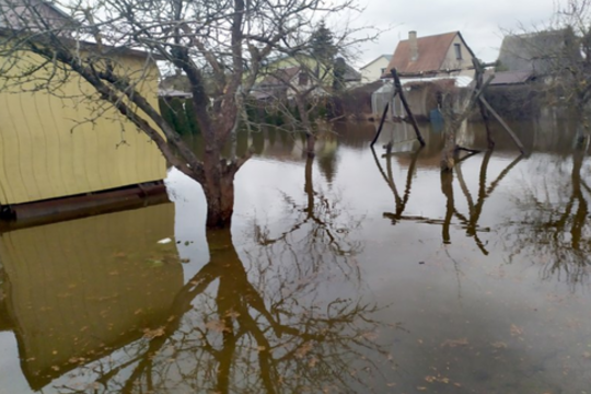 Panevėžio rajone patvinusi upė skandina sklypus ir gatves