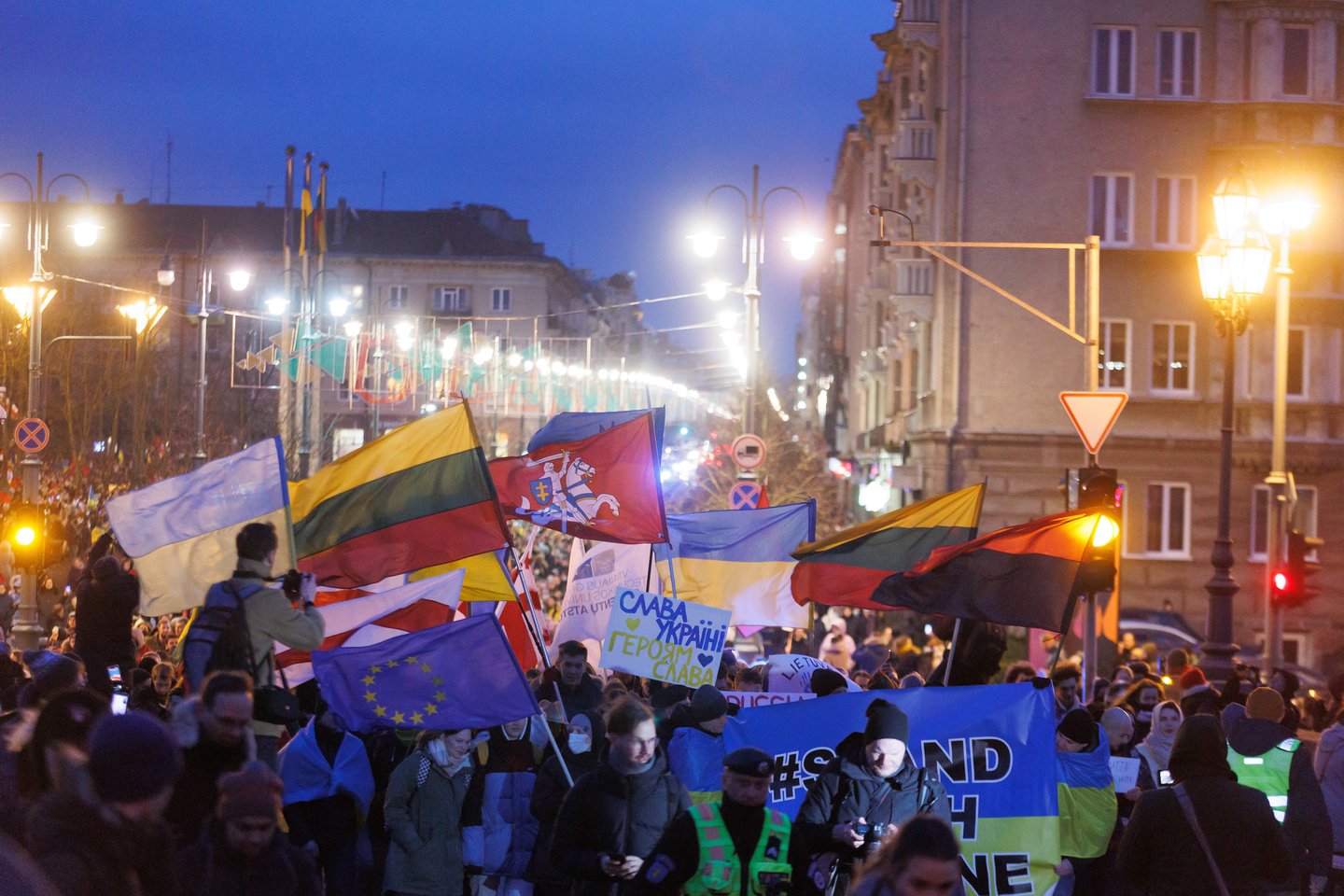 Palaikymo Ukrainai Vilniuje akcija.