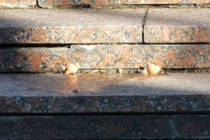 Vilniuje vyras apliejo Rusijos ambasados vartus ir herbą, Klaipėdoje dažais apipurkšta Rusijos konsulato tvora