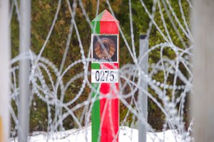 Pasieniečiai apgręžė 13 į Lietuvą iš Baltarusijos bandžiusių patekti neteisėtų migrantų