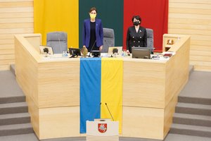 V. Čmilytė-Nielsen: ES veiksmai gali priversti Kremliaus režimą kristi