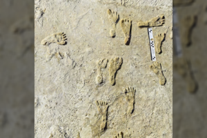 Pasirodo, žmonės Amerikoje pradėjo gyventi seniau nei manyta