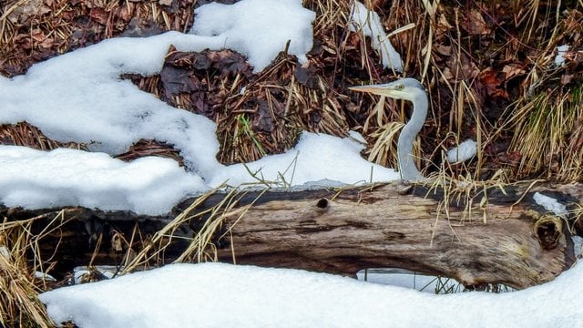 Gražūs orai traukiasi: sugrįš sniegas ir šlapdriba