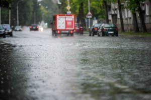 Klimato kaita jau sukėlė negrįžtamų padarinių, o toliau bus tik blogiau: gali grėsti net masinis rūšių išnykimas