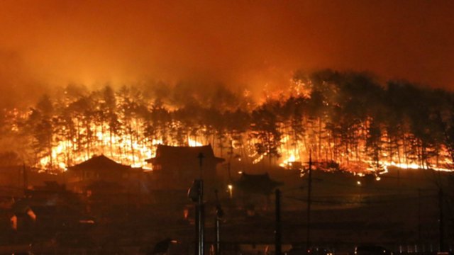 Pietų Korėjoje siaučiant dideliam miškų gaisrui evakuota apie 6,2 tūkst. žmonių