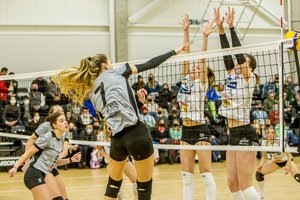 „Kauno-VDU“ tinklininkės – Baltijos lygos čempionės