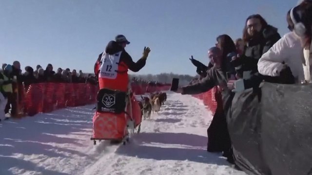 Aliaskoje – jubiliejinės šunų kinkinių lenktynės: renginį pakoregavo koronavirusas