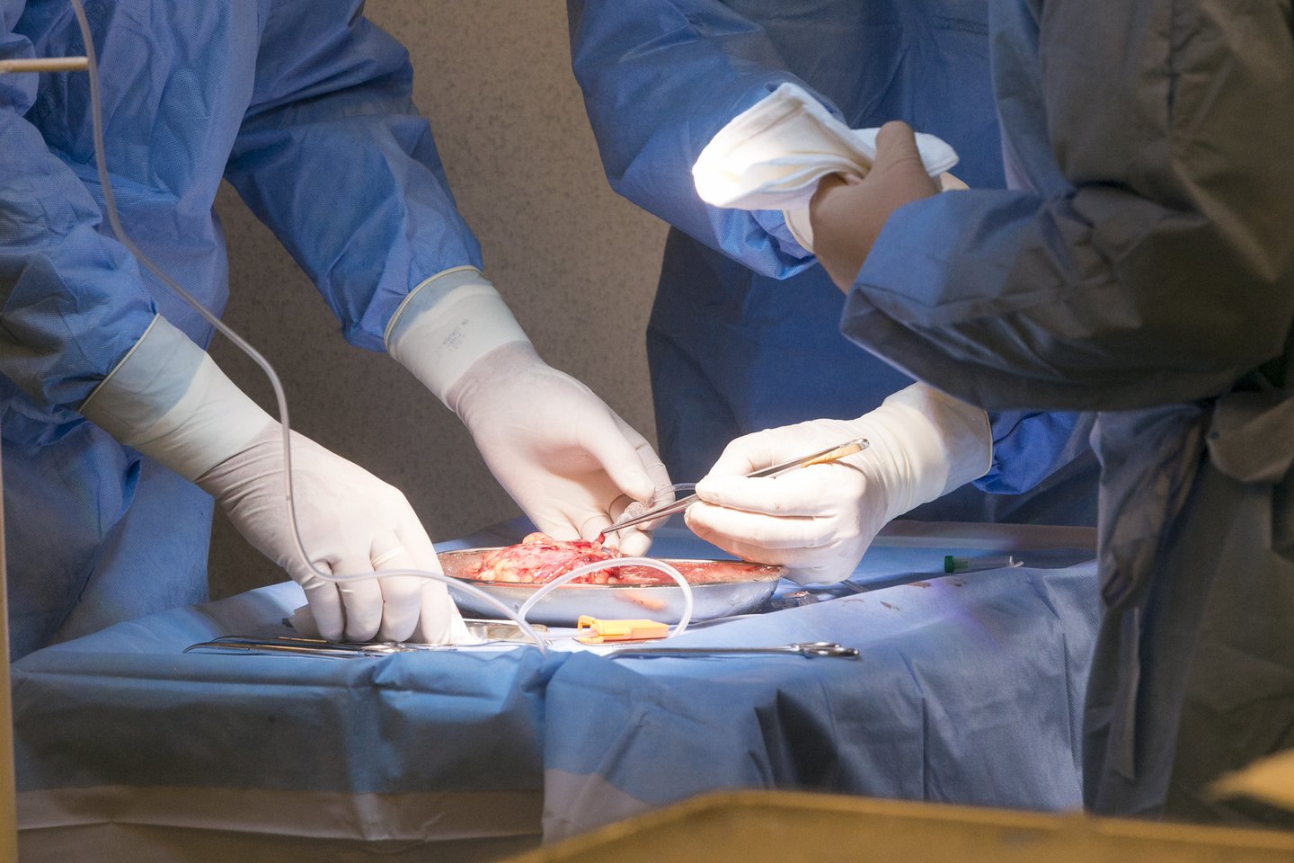 Šiais laikais organų persodinimas gelbėja daug gyvybių.<br>T.Bauro nuotr.