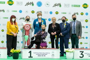 Tarptautinėje šunų parodoje triumfavo nykštukinis pudelis iš Vilniaus