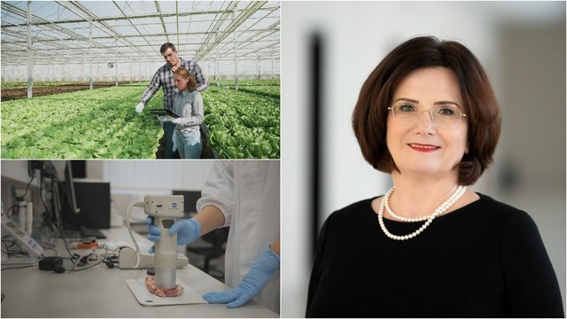 Profesorė Astrida Miceikienė: „Mokslas įsiklauso į verslo poreikius"