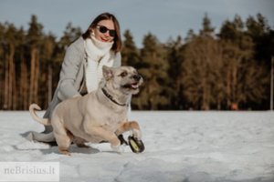 Likimas suvedė Eveliną ir Aurą, tačiau po kelių mėnesių naujuose namuose prasidėjo keisti dalykai