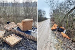Įžūlumo viršūnė: nereikalingais baldais atsikratė miške