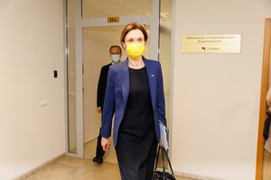 V. Čmilytė-Nielsen dėl karo Ukrainoje nesutinka atidėti Partnerystės įstatymo: Lietuva turi daryti savo namų darbus