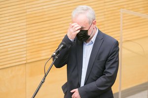 Parlamentariai abejoja J. Razmos siūlymu už karo propagandą numatyti baudžiamąją atsakomybę