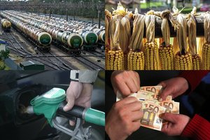 Dėl Rusijos sukelto karo labiausiai nukentės Europos šalys