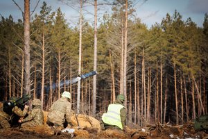 Vyriausybė pritarė siūlymui didinti išlaidas gynybai: Seimui sutikus bus skirti papildomi 257,6 mln. eurų