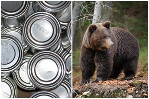 Išaiškinta įmonė, neteisėtai prekiavusi estiškais meškienos konservais