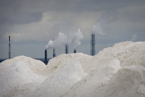 Į ES sankcionuotų asmenų sąrašą įtrauktas ir netiesioginis „Lifosos“ savininkas