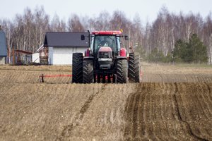 Dėl sankcijų Rusijai ir Baltarusijai Lietuvos ūkininkai liko be trąšų: prognozuoja prastą derlių, trūks dalies maisto produktų