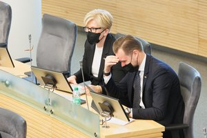 Dėl Ukrainos narystės ES – griežta I. Šimonytės žinutė Vakarams: tikiuosi, kad neapsiribos dvejomis muilinomis eilutėmis