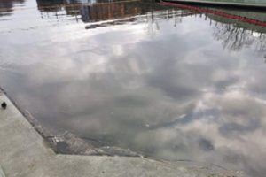 Pirminiai tyrimų rezultatai: Danėje užfiksuoti teršalai – maistinis aliejus