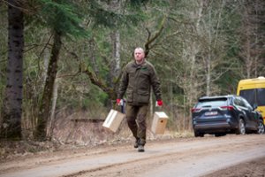 Grįžtančius paukščius pasitinka nauji būstai – miškininkai ir mokiniai iškėlė 8 tūkst. inkilų