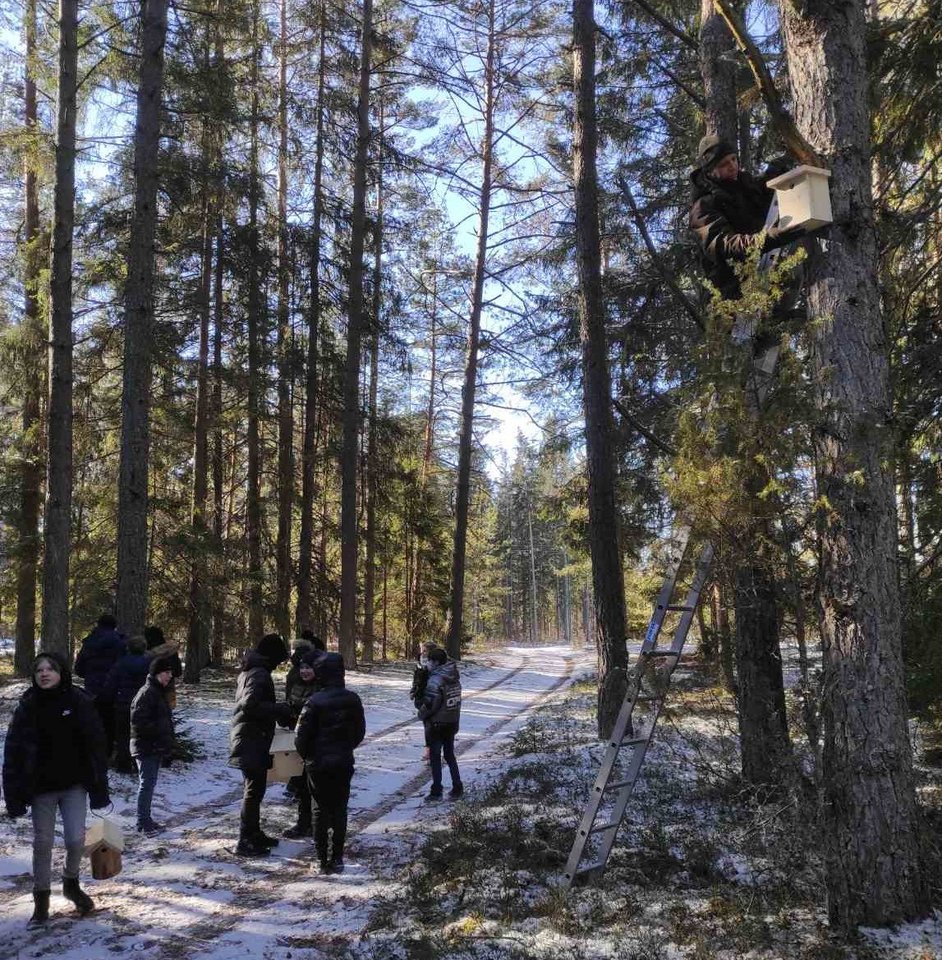 Kovo 9-10 dienomis Valstybinių miškų urėdijos organizuotoje inkilų kėlimo šventėje „Paukščiai grįžta namo“ miškininkai kartu su mokiniais iš visos Lietuvos iškabino net 8 tūkst. inkilų įvairiems paukščiams.<br>Autorių nuotr. 