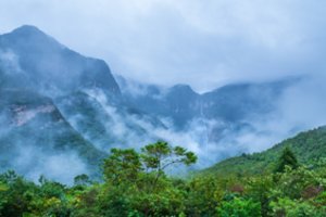 Mokslininkų perspėjimas: Amazonės atogrąžų miškai artėja prie lūžio taško greičiau, nei prognozuota