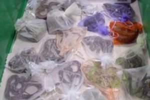 Neįprastas radinys vyro drabužiuose: nelegaliai per sieną bandė pranešti 52 roplius