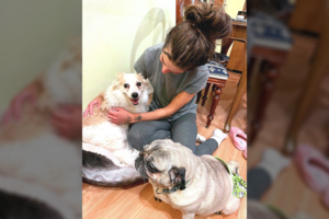 Lietuvoje namus randa gyvūnai iš Ukrainos: baisu išgirdus, ką jiems teko ištverti