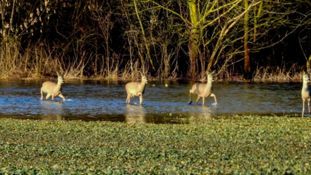 Sinoptikai didelių pokyčių nežada: oras vis labiau šils