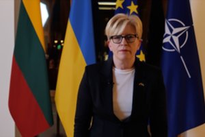 Šimonytė's tough message to the West on Ukraine's EU membership: I hope it won't be limited to two soapy lines