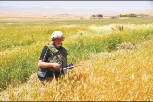 Lietuvis mokslininkas, išvedęs dešimtis kviečių ir rugių veislių: „Dirbu ne dėl medalių“