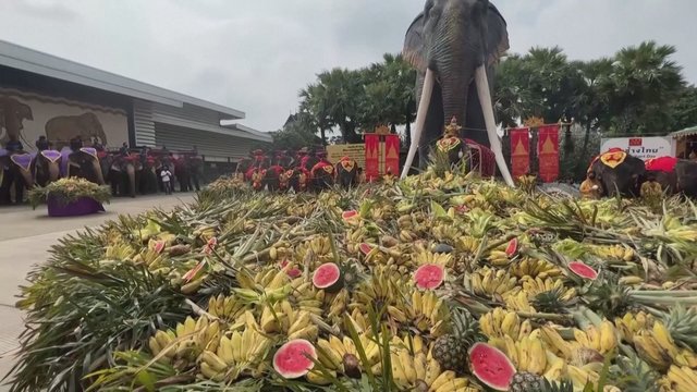 Pamatykite, kaip Tailando botanikos sode paminėta dramblių šventė: išdalijo dvi tonas vaisių