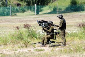 I. Segolovičienė: didinant finansavimą gynybai turi būti užtikrintas ir lėšų panaudojimo skaidrumas