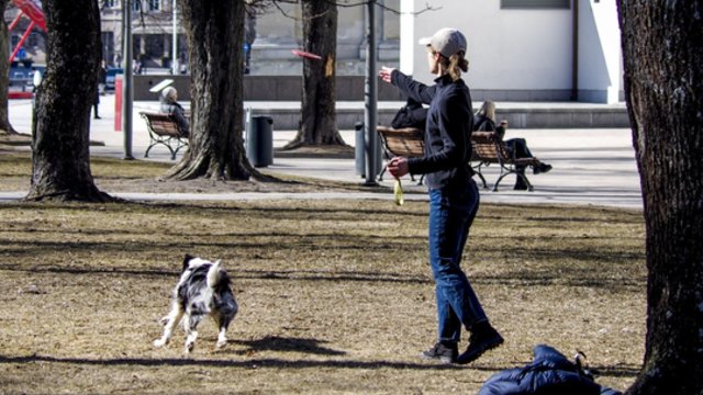 Džiaugsimės saulės spinduliais: temperatūra kils iki 11 laipsnių šilumos