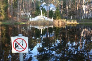 Norintys tvarkyti vandens telkinius turės palaukti: neršia ir migruoja žuvys, peri vandens paukščiai