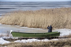 Ministerija rengia priemones Kuršių marių ir telkinių būklei gerinti, žada strategiją  