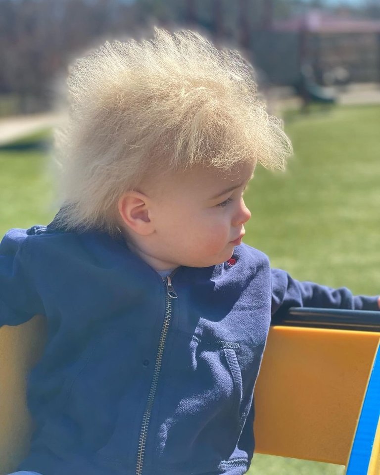 Įspūdingą berniuko šukuoseną lėmė neiššukuojamų plaukų sindromas.<br> Katelyn Samples nuotr.