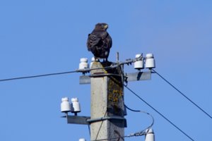 Ukrainos ir Moldovos elektros tinklai sinchronizuoti su Europos tinklais