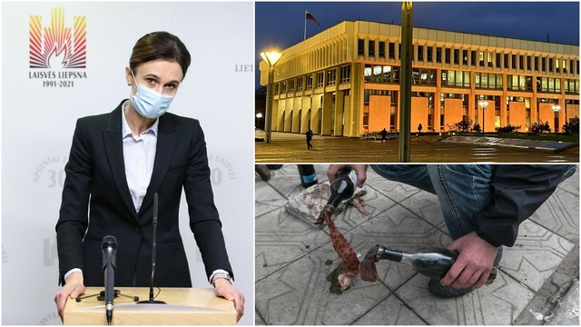 V. Čmilytė-Nielsen patvirtino incidentą Seime: naktį jaunuolis Molotovo kokteiliais bandė padegti pastatą