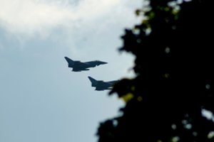 Seimas priėmė rezoliuciją, raginančią paskelbti neskraidymo zoną virš Ukrainos