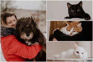 Natalijos namuose prieglobstį rado daugybė kačių ir šunytė žmogišku vardu