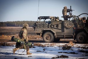 Seimas lėšas gynybai šiemet padidino iki 2,52 proc. BVP