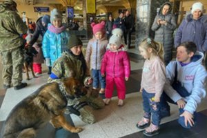 Karo niokojamoje Ukrainoje keturkojai „psichoterapeutai“ vaikams padeda ištverti siaubą