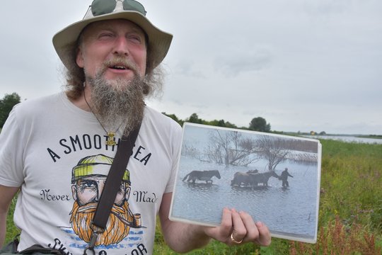 Laisvėje besiganantys arkliai latvį maitina ir žiemą, ir vasarą